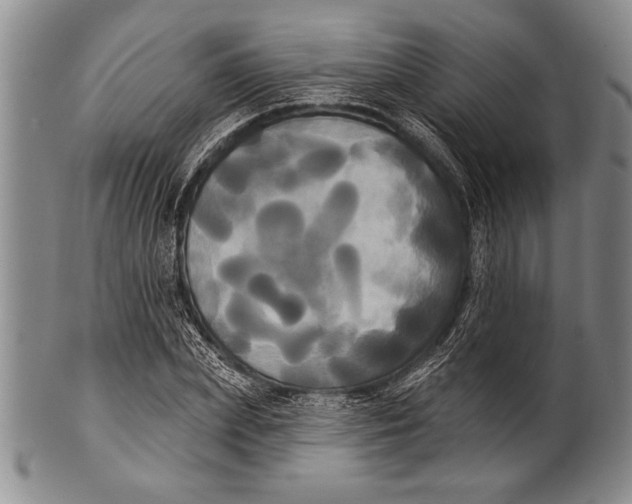 X0000100330831200806261259