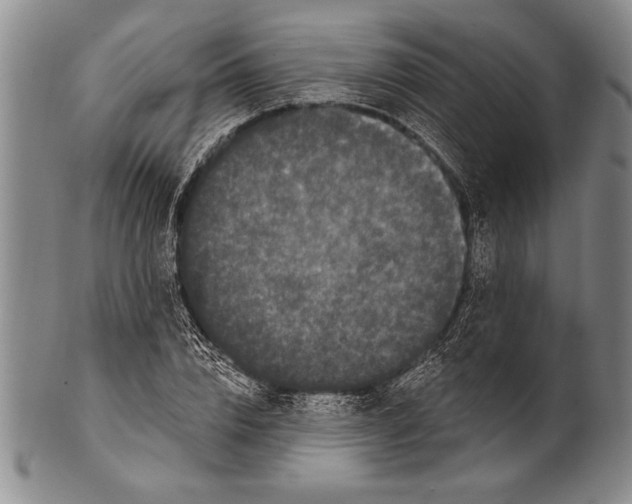 X0000100330832200806261259