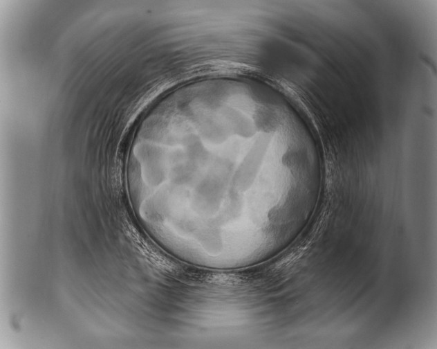 X0000100330835200806261300