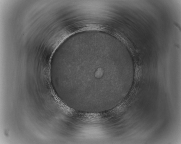 X0000100330836200806261300