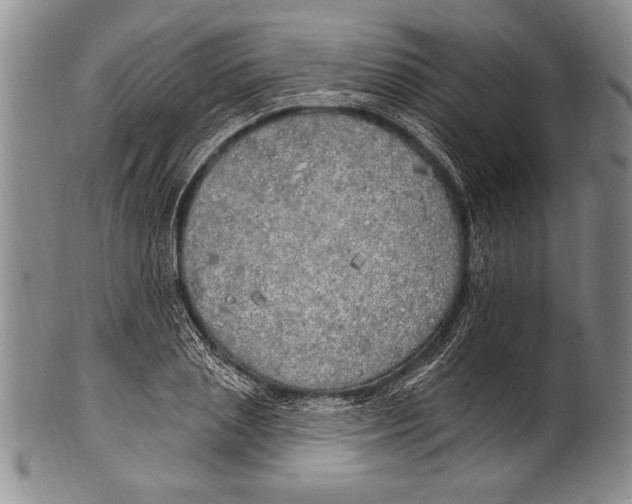 X0000100330837200806261300