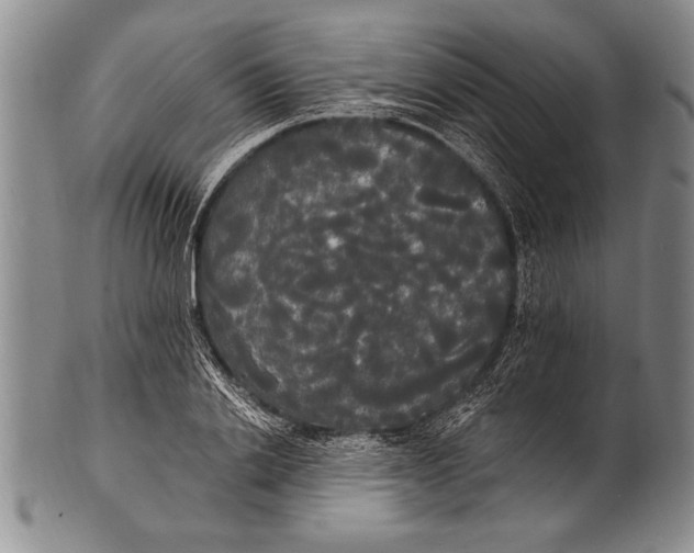 X0000100330838200806261300