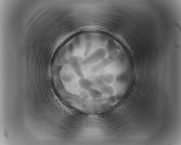 X0000100330839200806261300