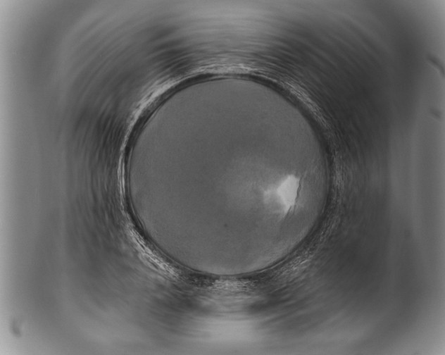 X0000100330840200806261300