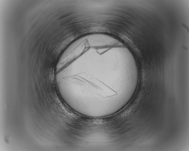 X0000100330841200806261300