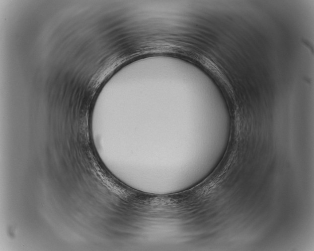 X0000100330842200806261300