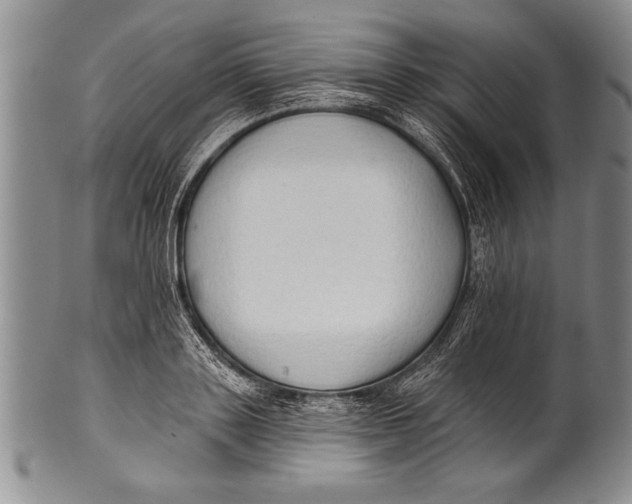 X0000100330843200806261300