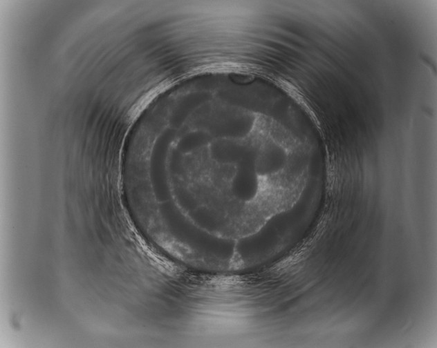 X0000100330845200806261300