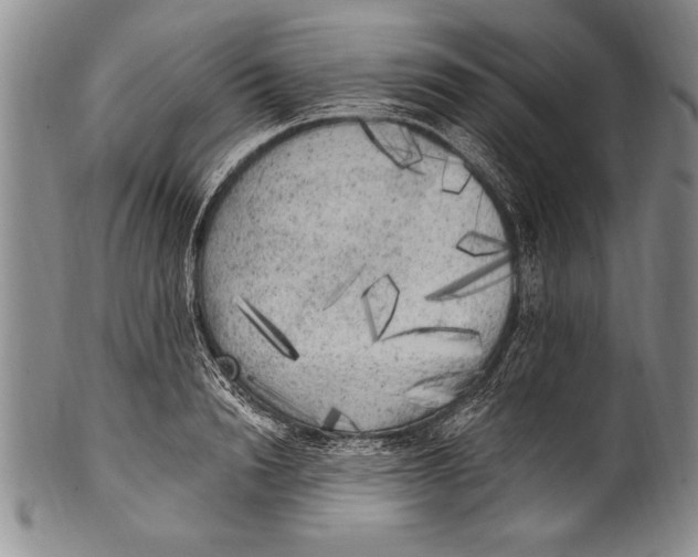 X0000100330846200806261300