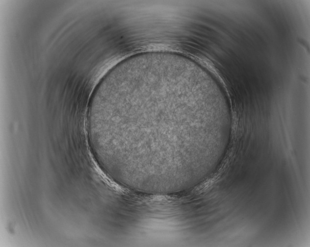 X0000100330847200806261300