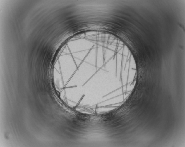 X0000100330848200806261300