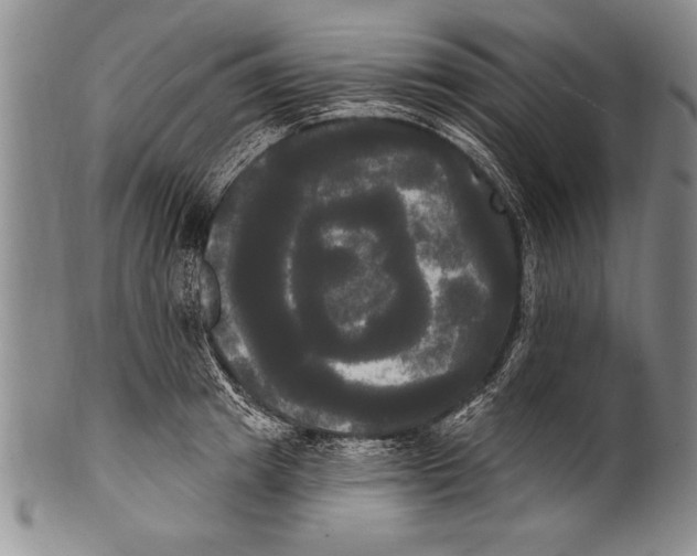 X0000100330849200806261300