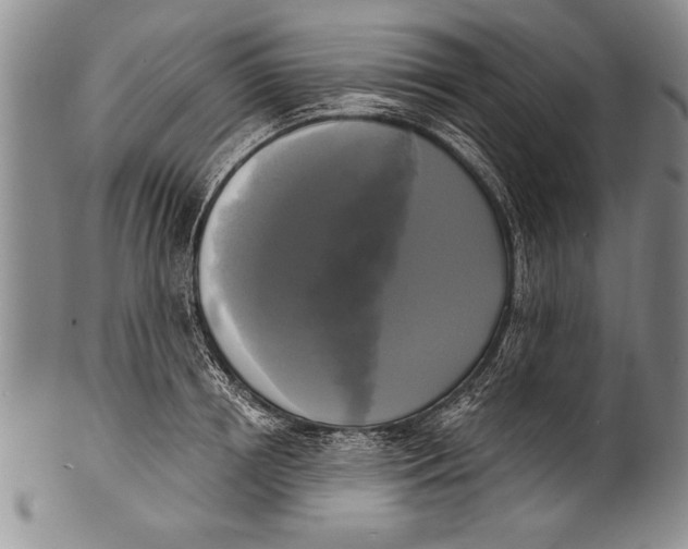 X0000100330850200806261300