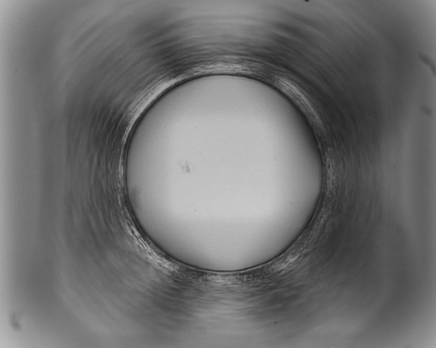 X0000100330852200806261300