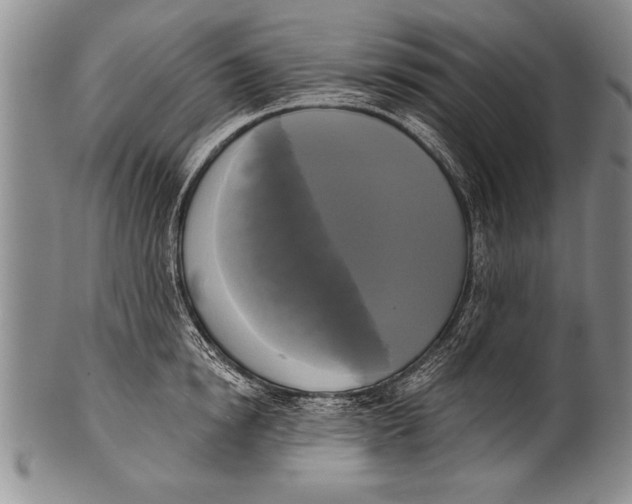 X0000100330854200806261300