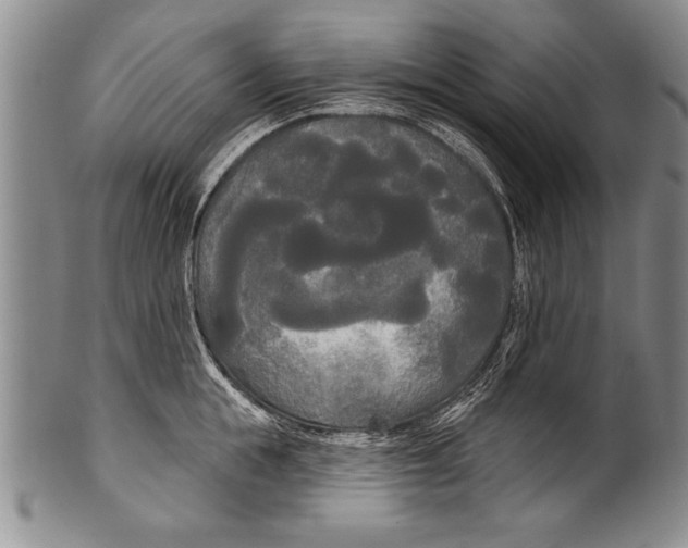 X0000100330855200806261300