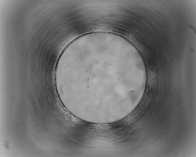 X0000100330856200806261300