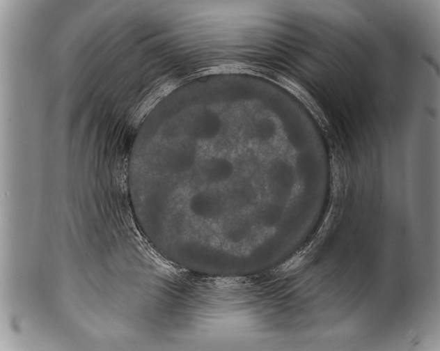 X0000100330857200806261300