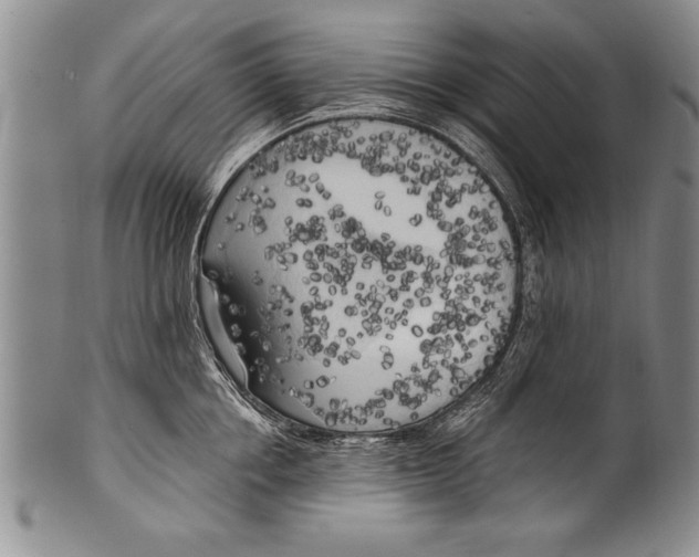 X0000100330858200806261300