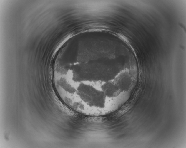 X0000100330859200806261300