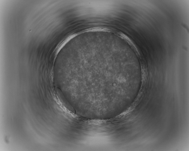 X0000100330860200806261300