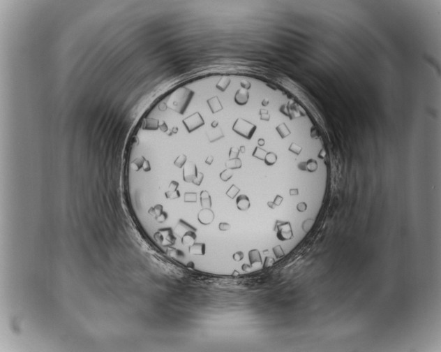 X0000100330861200806261300