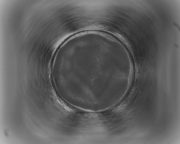 X0000100330862200806261300