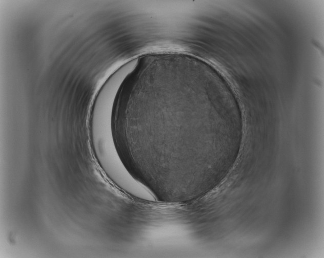 X0000100330864200806261300