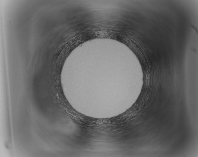 X0000100330865200806261259