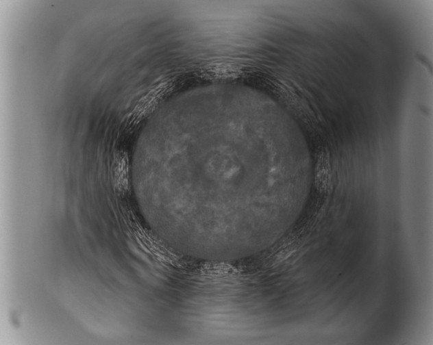 X0000100330866200806261259