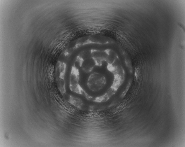 X0000100330867200806261259