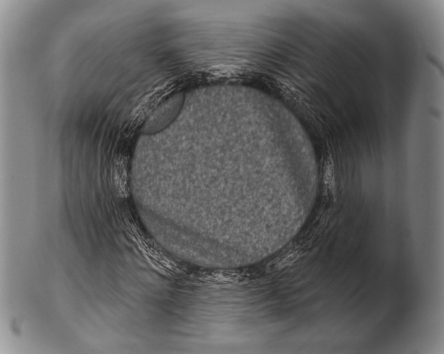 X0000100330868200806261259