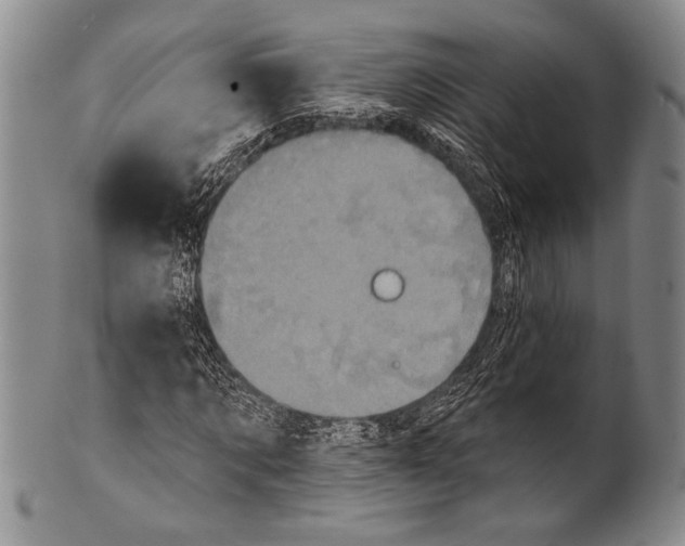 X0000100330869200806261259