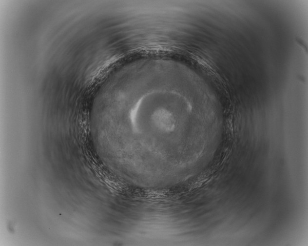 X0000100330870200806261259