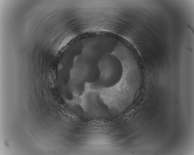 X0000100330871200806261259