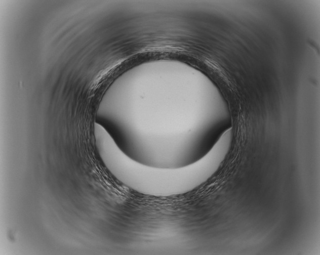 X0000100330872200806261259