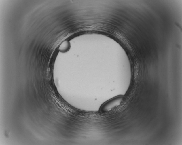 X0000100330876200806261259