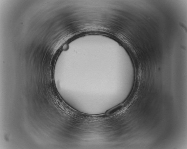 X0000100330877200806261259