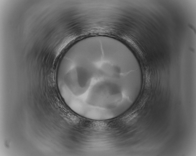 X0000100330878200806261259