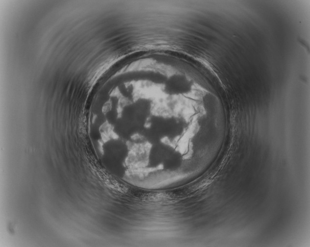 X0000100330879200806261259