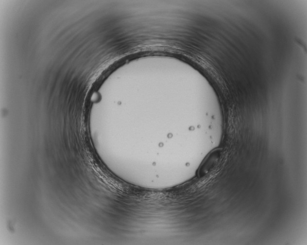 X0000100330880200806261259