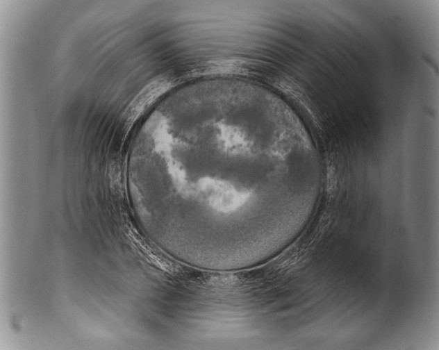 X0000100330882200806261259