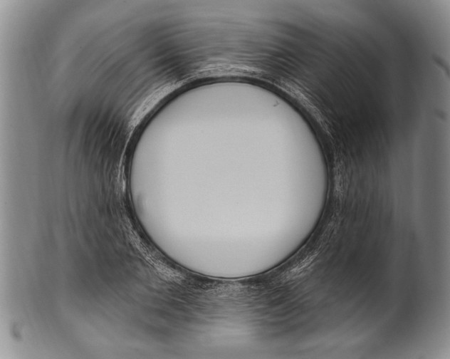 X0000100330885200806261259