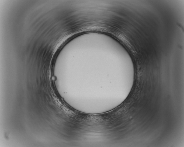 X0000100330888200806261259