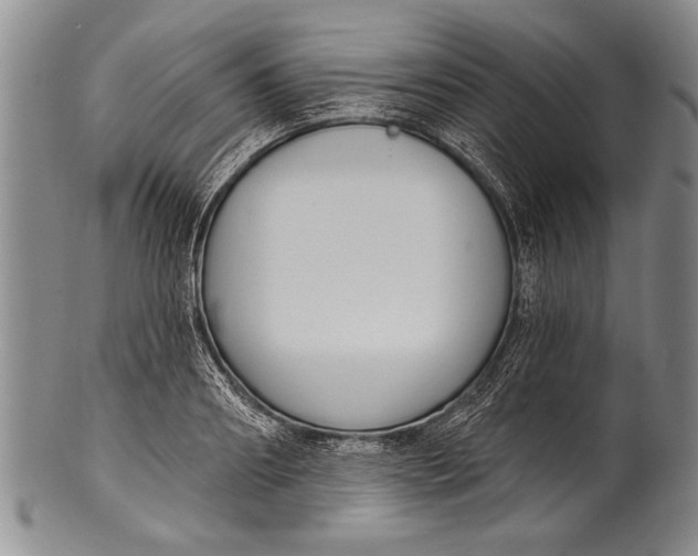 X0000100330890200806261259