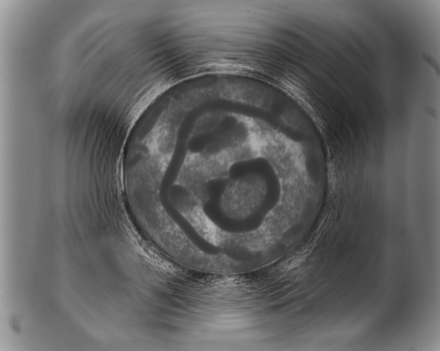 X0000100330891200806261259