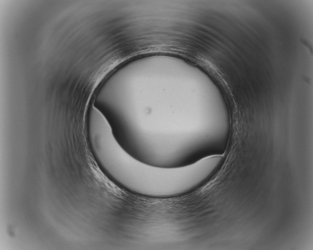 X0000100330892200806261259