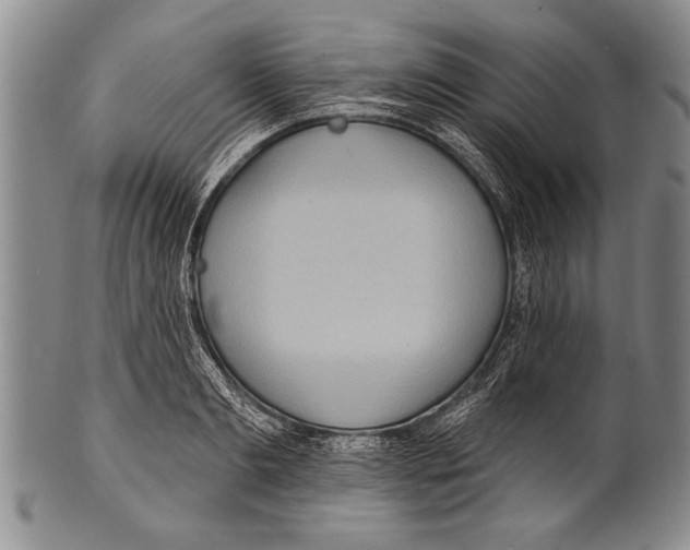 X0000100330893200806261259