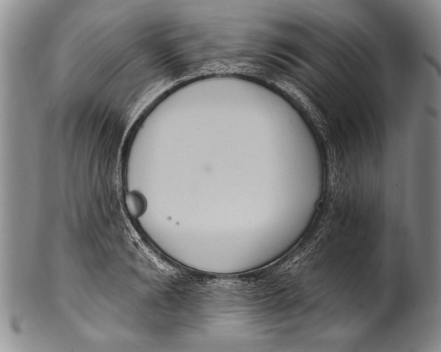 X0000100330894200806261259