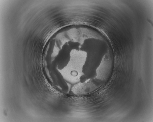 X0000100330895200806261259